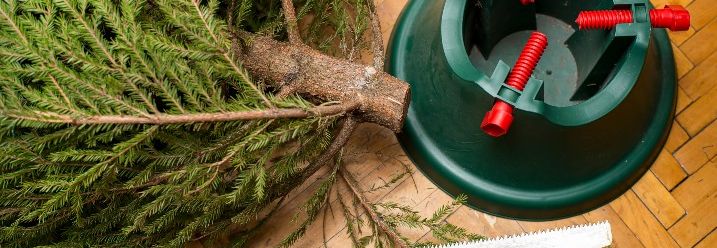 Ein liegender Weihnachtsbaum neben einer Handsäge und einem Ständer.